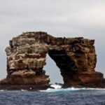 Inovação faz com que tumores se autodestruam graças a um “cavalo de Tróia”