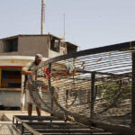 Estudo diz que 97% dos pacientes têm anticorpos um ano após recuperação