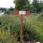 Bracarense Tiago Corais reeleito em Oxford pelo Partido Trabalhista