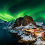 Criatura do Mar Vermelho regenera todos os órgãos até quando cortada em três