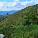 ‘Ciência de Dados e Políticas Públicas’ foi o tema de conversa com Ramiro Gonçalves nas “Conversas na Casa”