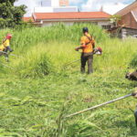 Mais um dia sem mortes, mas com 450 casos de Covid-19 em Portugal