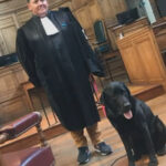 Há duas estirpes de gripe desaparecidas e foram vítimas da pandemia