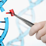 Lixo espacial atingiu e danificou Estação Espacial Internacional