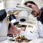 Portugal soma mais quatro mortes e 1.298 casos de Covid-19. Rt em 1,14