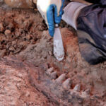 Contentores do lixo na vila do Gerês limpos e desinfetados