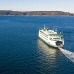 Optometrista português nomeado para grupo de trabalho da Organização Mundial da Saúde