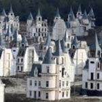 Javalis estão a contribuir amplamente para as mudanças climáticas