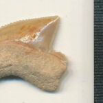 Concurso ‘Far Play’ quer aproximar as pessoas das fortalezas abaluartadas da raia