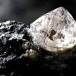 Câmara de Braga e militares renovam protocolo de vigilância florestal