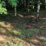 Divulgados projetos vencedores do ACTUM 2021 em Braga