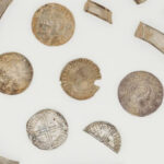 Javalis estão a contribuir amplamente para as mudanças climáticas