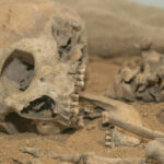 Exposição de arte urbana inaugurada no Braga Parque