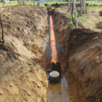 Festival Têpluquê em Braga com atividades para toda a família