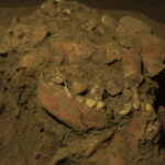 GNR deteve 300 pessoas e apreendeu 13 armas de fogo durante a semana