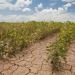 ADN com 7200 anos revela uma linhagem humana desconhecida