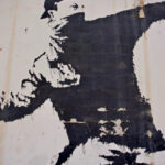 Zona morta do golfo do México já tem mais de quatro milhões de hectares