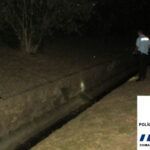 Quase 2 mil casos e 13 mortes em Portugal, em dia com menos internamentos