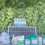 Fransérgio está de saída do SC Braga rumo ao Bordeaux