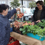 Aprovada estratégia nacional para um sistema alimentar sustentável