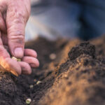 Portugal com mais 10 mortos e 1.778 novos casos de Covid-19