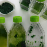 Médicos belgas vão prescrever visitas a museus para combater o stress