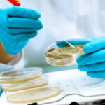 Escola japonesa verifica a roupa interior dos alunos e quem não cumprir as regras é punido