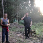 Portugal com mais 10 mortos e 1.778 novos casos de Covid-19