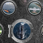 Cerca de 8500 alunos iniciam o ano escolar no Vale do Homem