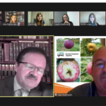 Amares é o concelho com mais incidência, em Vila Verde e Terras de Bouro casos são residuais