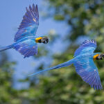 SC Braga com prejuízo de 644 mil euros em 2020/21