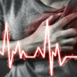 Amares, Terras de Bouro e Vila Verde combatem a vespa velutina em projeto da CIM-Cávado