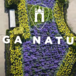 Encontro de Tocadores de Concertina encerrou Festa das Colheitas com forte adesão popular