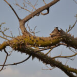 Recolha alimentar realiza-se dias 13 e 14 de novembro em Amares