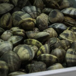 EPATV em Viena com projeto Erasmus+ sobre espaços seguros