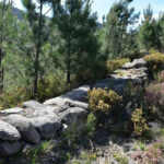 Paulo Rangel em Vila Verde: candidato a líder do PSD determinado em “reformar e transformar Portugal”