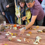 Portugal com mais 5 mortes e 491 casos com Covid-19