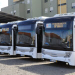 Tubérculo mal amado que quem quer emagrecer devia comer mais vezes