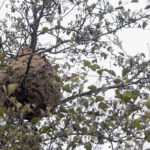 Calendário escolar foi atualizado devido a semana de contenção Covid