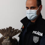 Em Amares, CDU pede prioridade ao desenvolvimento de uma rede pública de equipamentos e serviços sociais