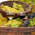 SC Braga-Sheriff: Pesadelo é para ‘detonar’ na Pedreira