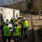 Investigadores da Universidade do Porto descodificam genoma da cavala