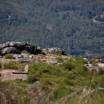 Álvaro Pacheco diz que “equipa mais regular” vencerá na Mata Real