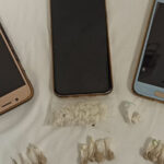 Arcos de Valdevez defende estratégia para travar aumento de vespa asiática