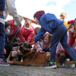Amares reúne parceiros estratégicos para implementação do plano de deteção e controlo da Vespa Velutina