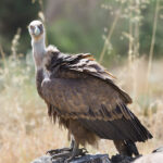 UMinho celebra Dia da Matemática