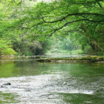 Aventura Todo o Terreno em Valença