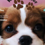 Há mais de 1,2 milhões de pessoas sem médico de família em Portugal