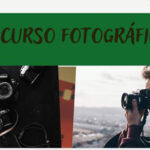 Concentrações de pólen muito elevadas em Portugal continental