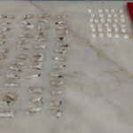 ASAE apreende quase 17 mil ovos Guimarães